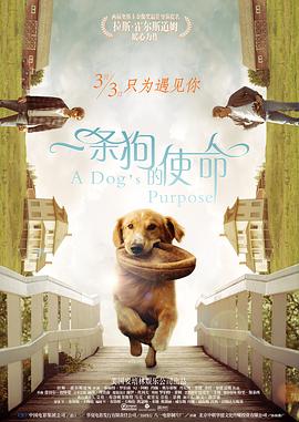 激情综合网五月天